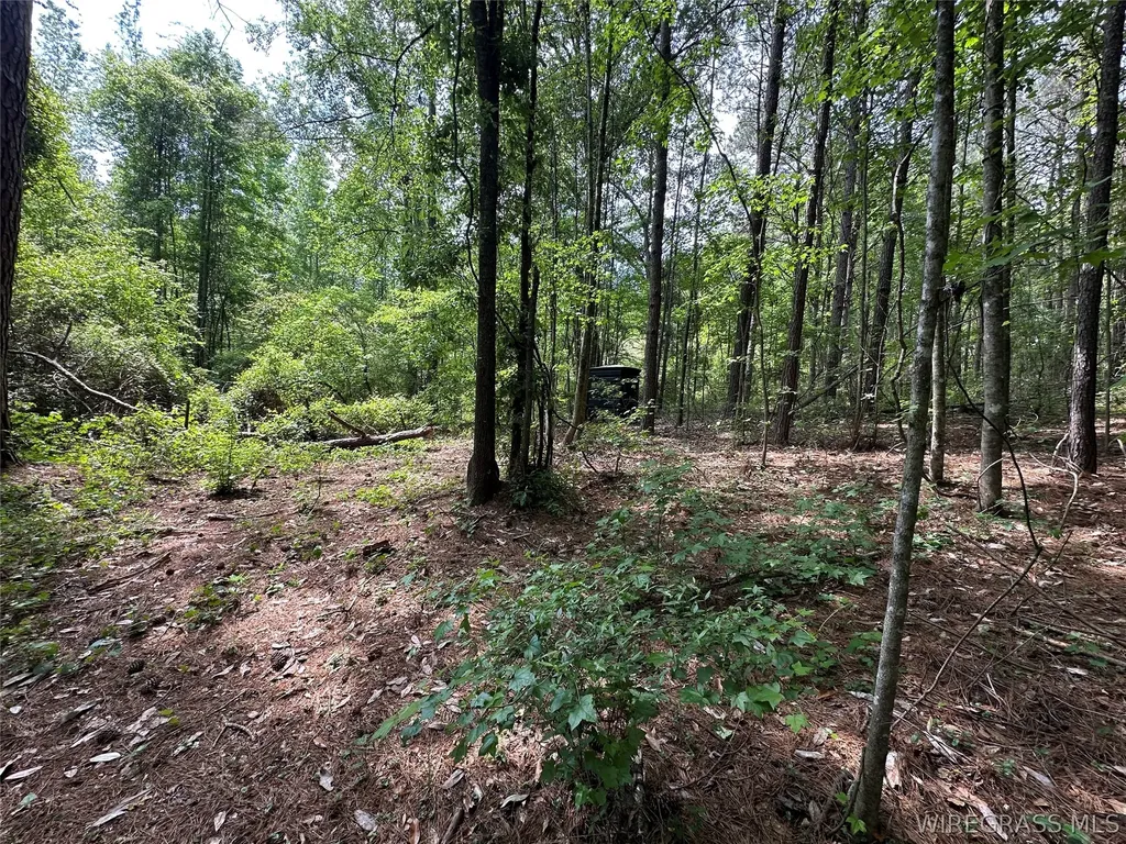 0 Highway 105 Highway Skipperville AL 36360