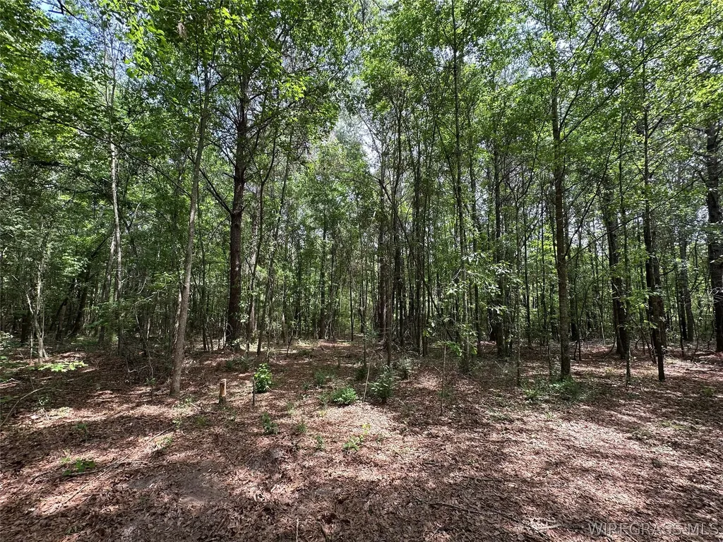 0 Highway 105 Highway Skipperville AL 36360