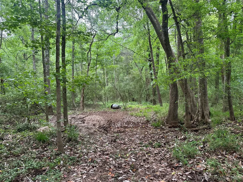 0 Highway 105 Highway Skipperville AL 36360