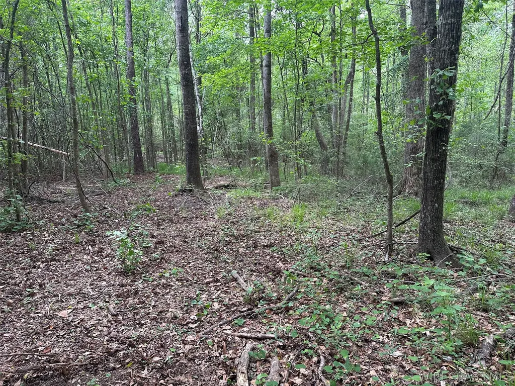 0 Highway 105 Highway Skipperville AL 36360