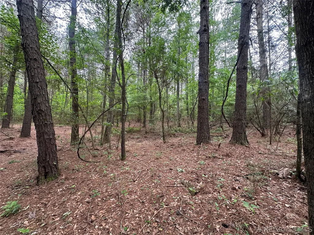 0 Highway 105 Highway Skipperville AL 36360