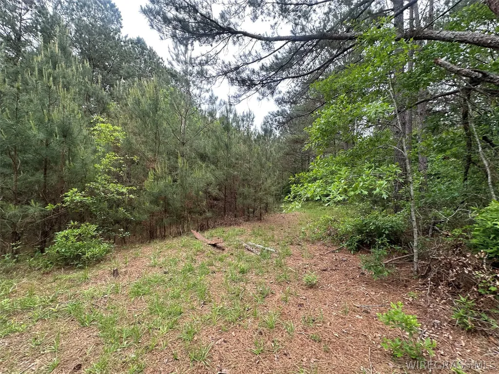 0 Highway 105 Highway Skipperville AL 36360