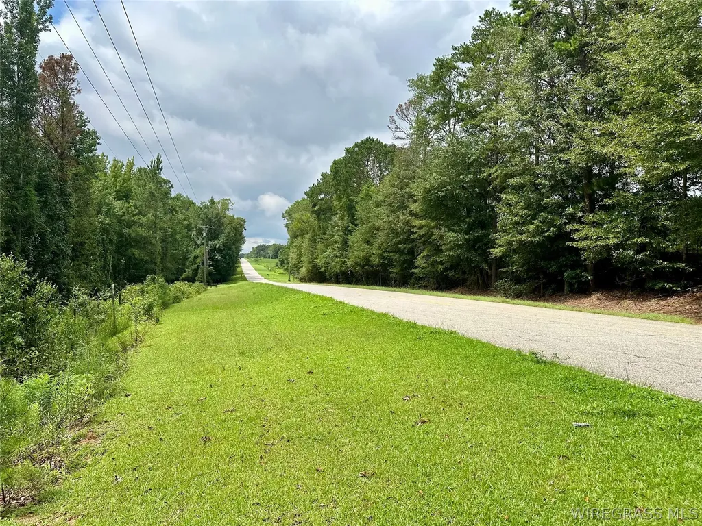 0 Highway 105 Highway Skipperville AL 36360