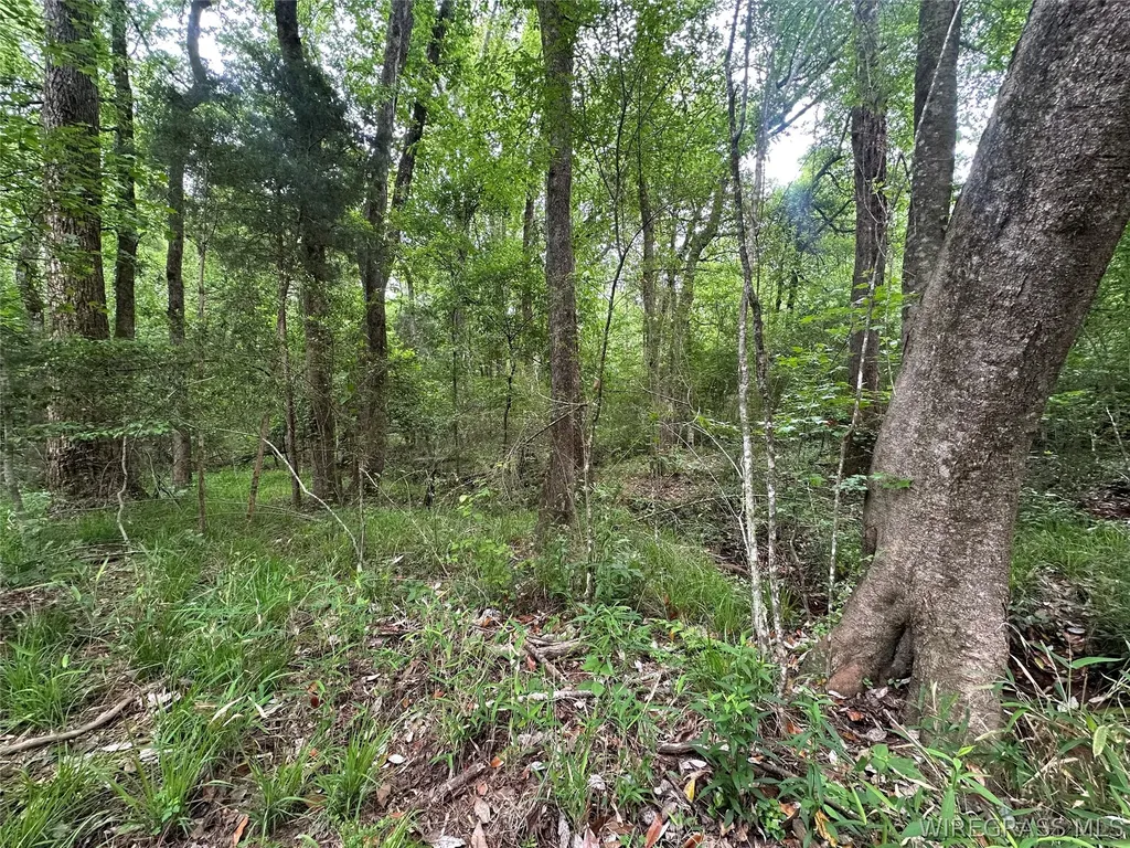 0 Highway 105 Highway Skipperville AL 36360