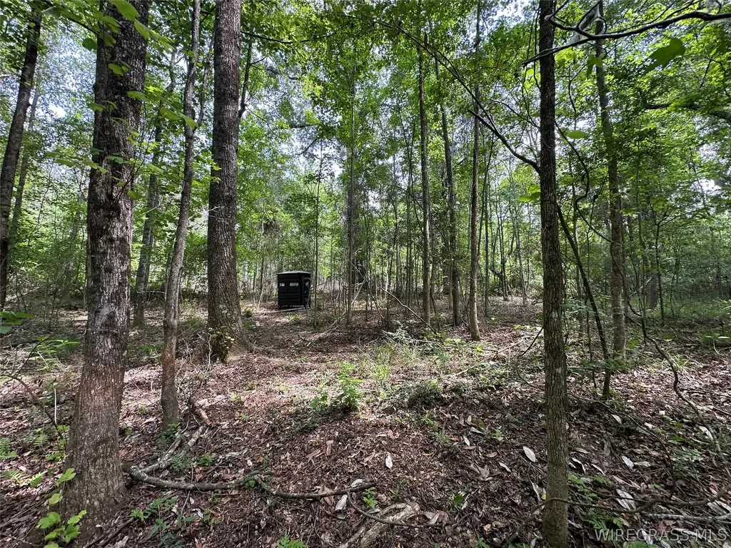0 Highway 105 Highway Skipperville AL 36360