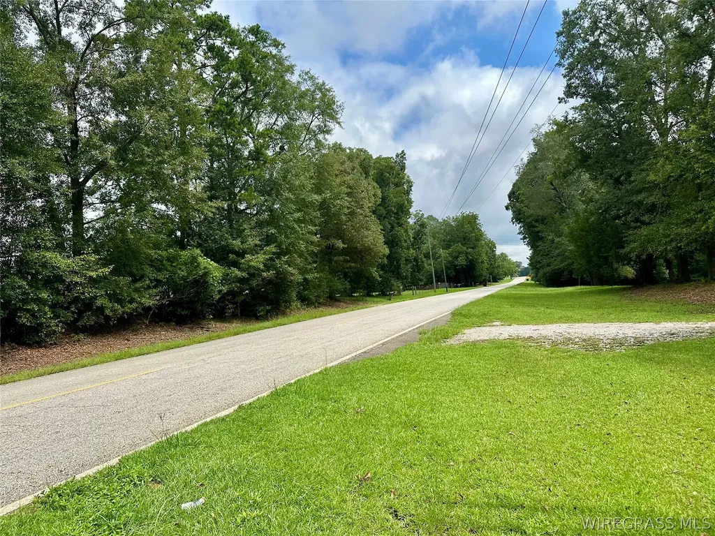 0 Highway 105 Highway Skipperville AL 36360