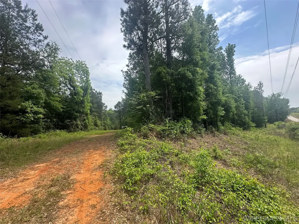 0 Highway 105 Highway Skipperville AL 36360