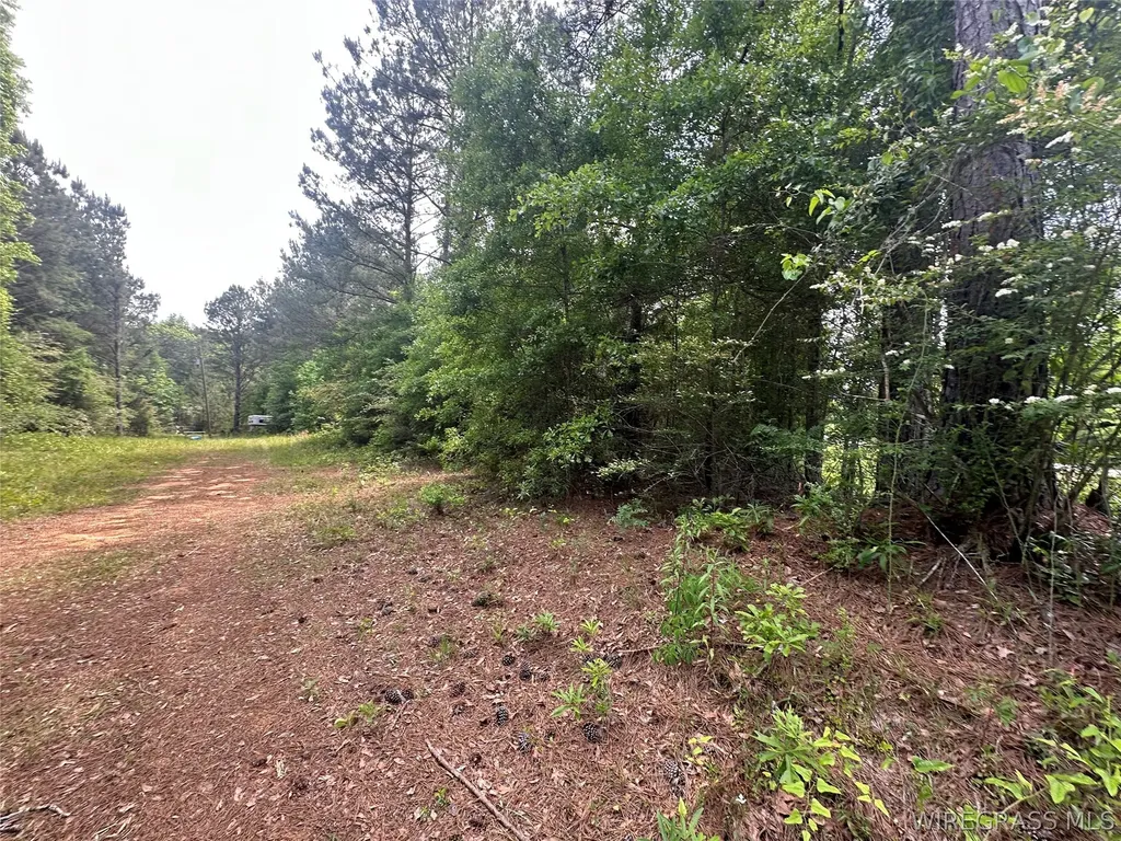 0 Highway 105 Highway Skipperville AL 36360