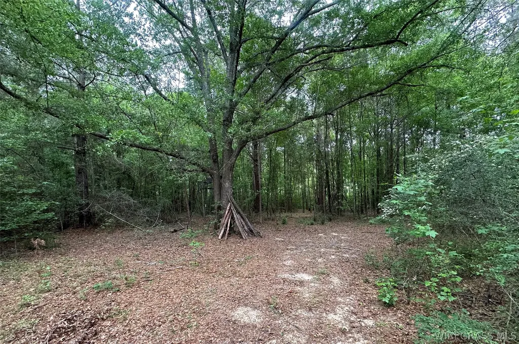 0 Highway 105 Highway Skipperville AL 36360