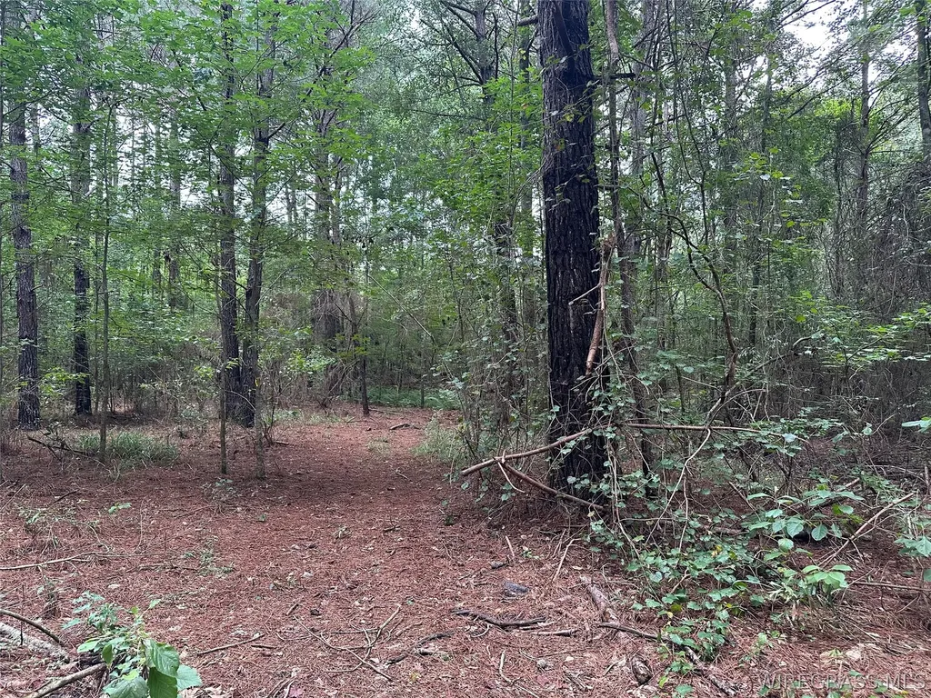 0 Highway 105 Highway Skipperville AL 36360