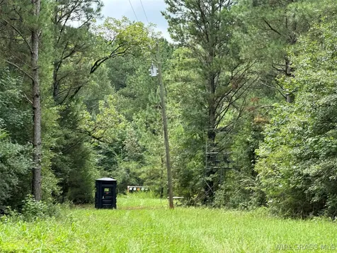 0 Highway 105 Highway Skipperville AL 36360