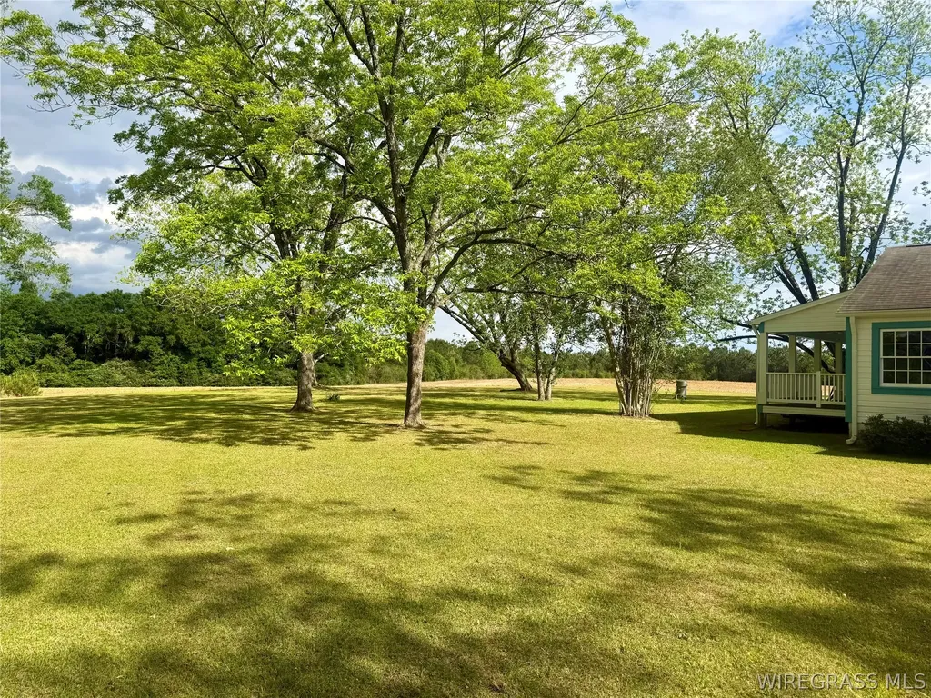 1046 Antioch Circle Hartford AL 36344