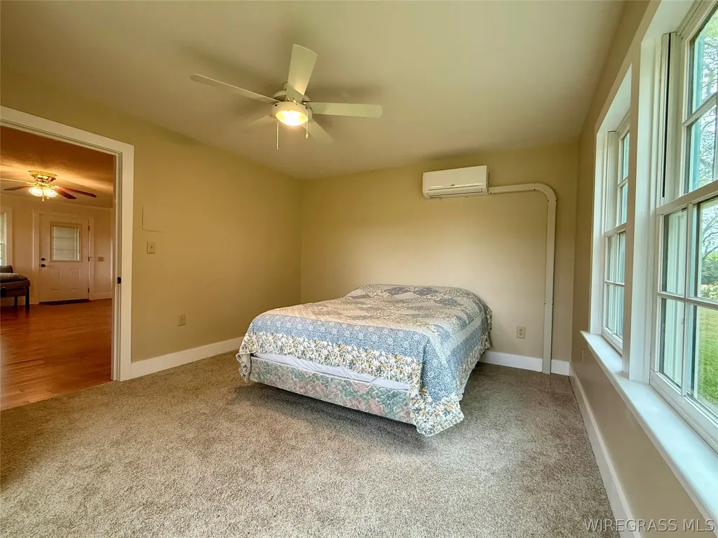 1046 Antioch Circle Hartford AL 36344