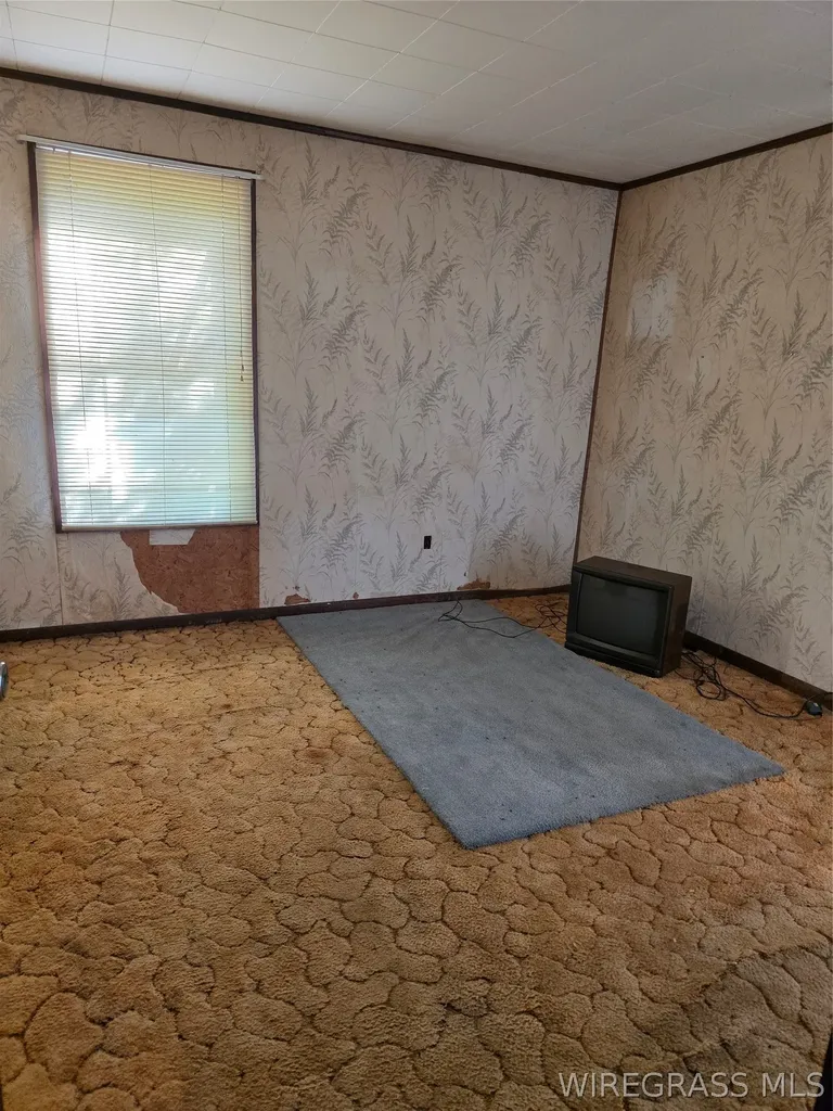 5320 County Road 36 Ozark AL 36360