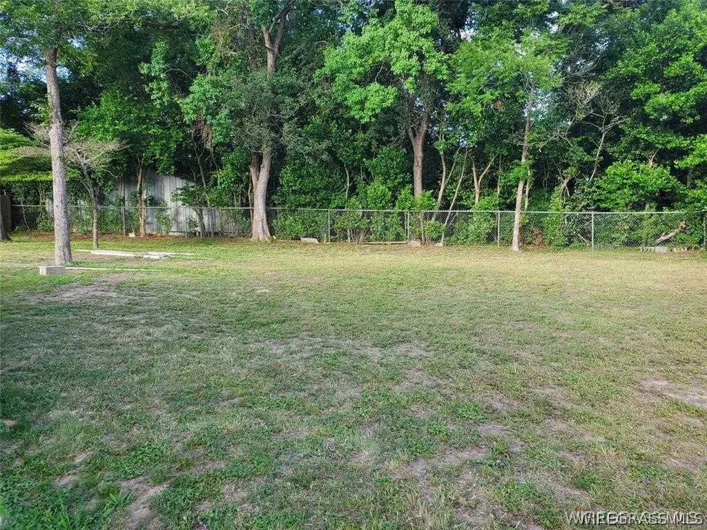 203 Ozark Avenue Ozark AL 36360