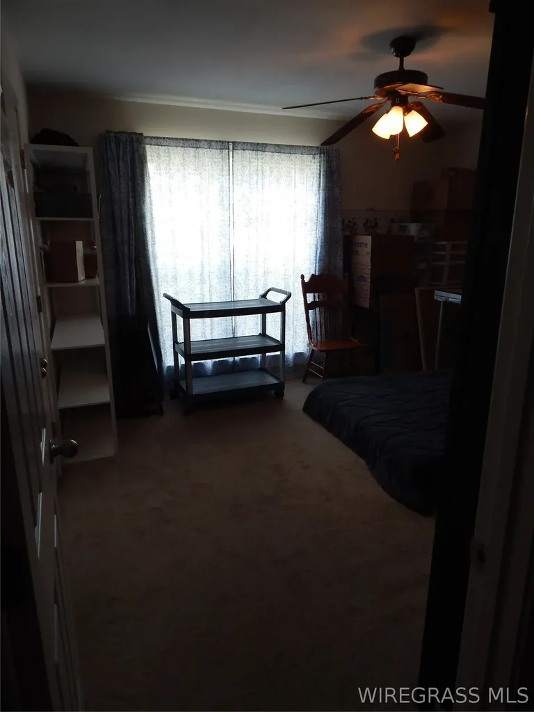 226 Griffith Lane New Brockton AL 36351