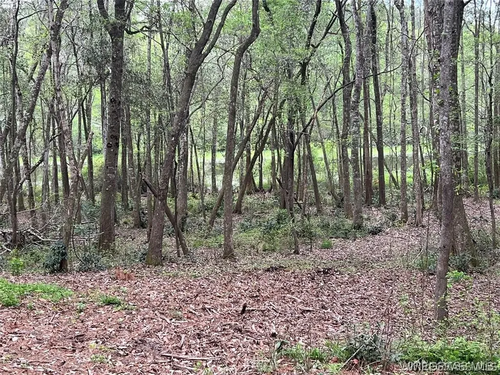 0 Driftwood Lane Andalusia AL 36421