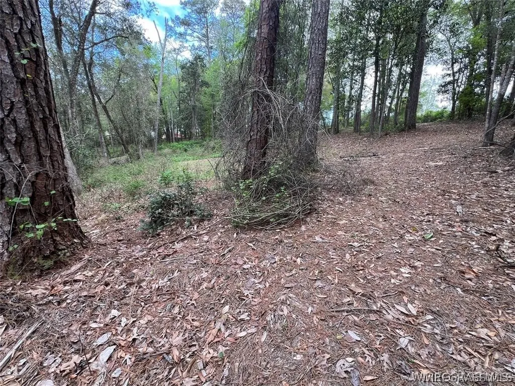0 Driftwood Lane Andalusia AL 36421
