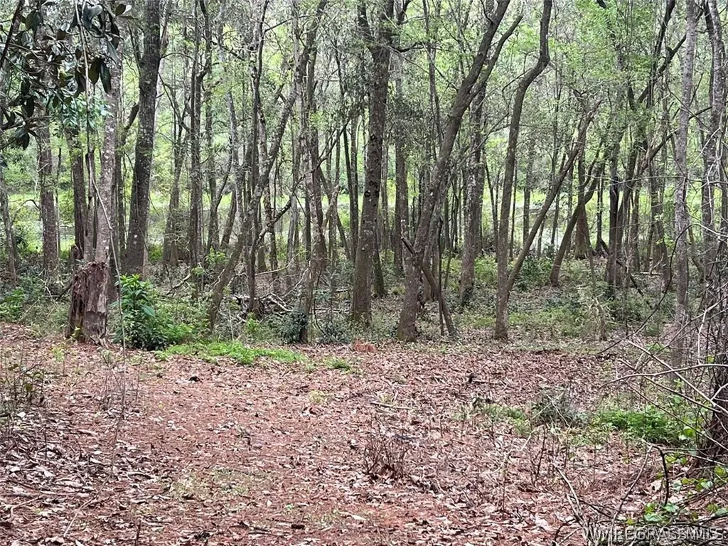 0 Driftwood Lane Andalusia AL 36421