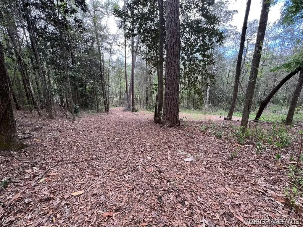 0 Driftwood Lane Andalusia AL 36421
