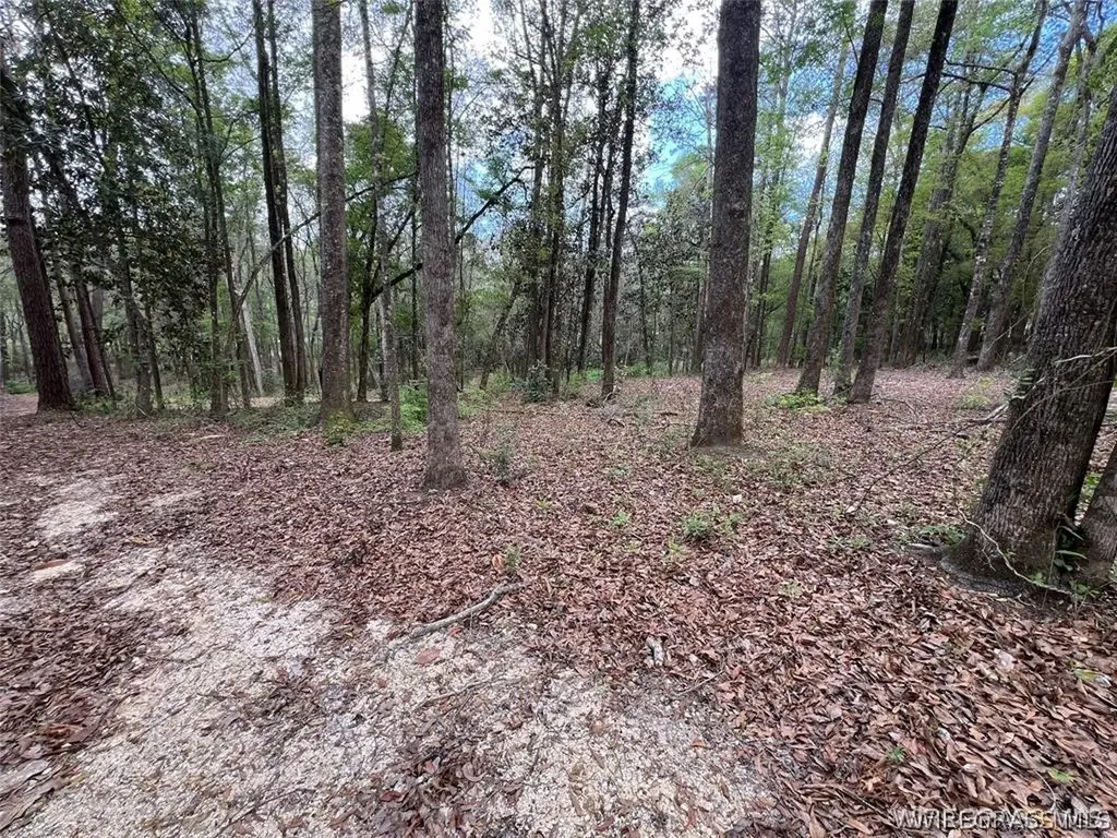0 Driftwood Lane Andalusia AL 36421