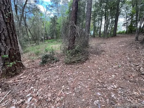 0 Driftwood Lane Andalusia AL 36421