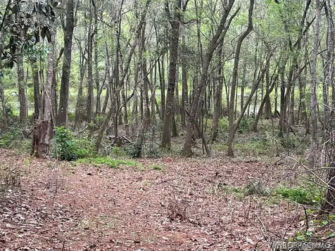 0 Driftwood Lane Andalusia AL 36421