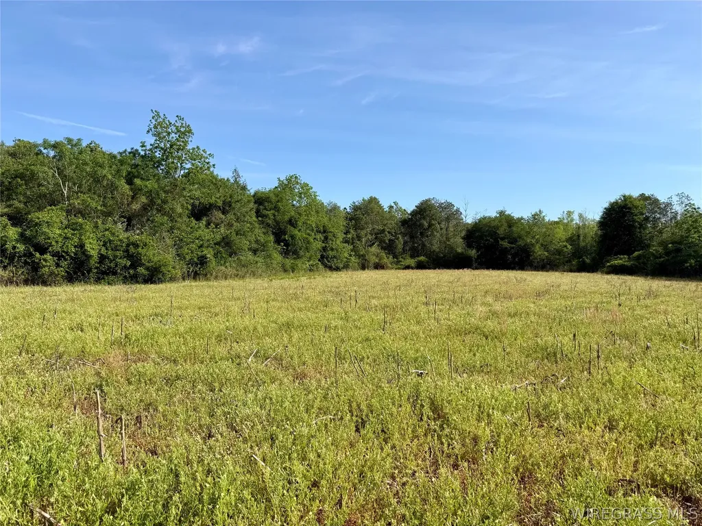 14 Red Oak Road Florala AL 36442