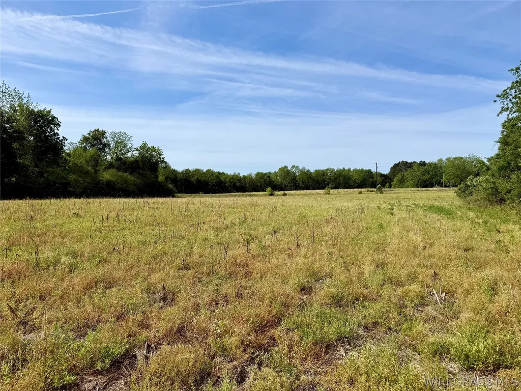 14 Red Oak Road Florala AL 36442