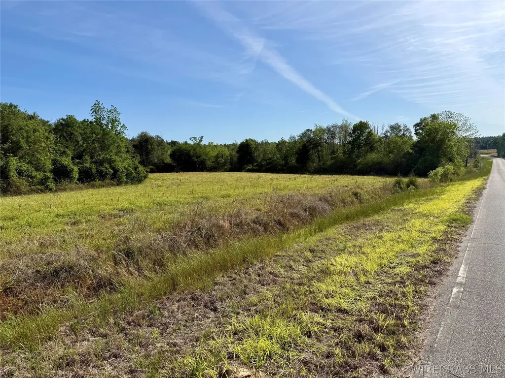14 Red Oak Road Florala AL 36442