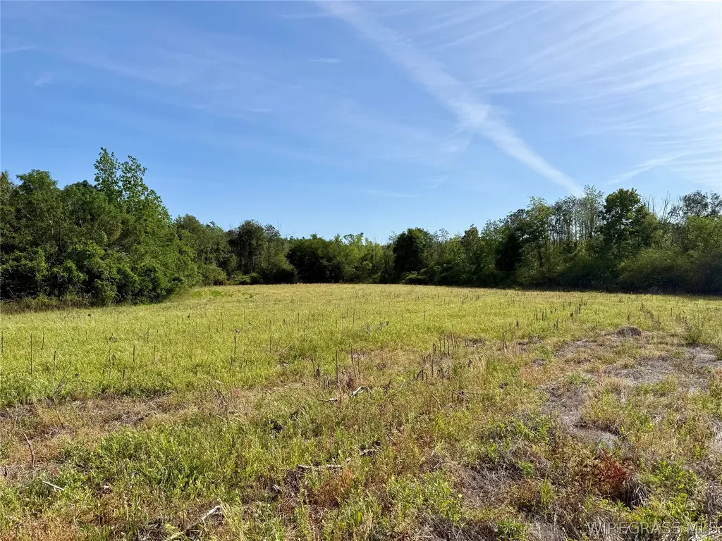 14 Red Oak Road Florala AL 36442