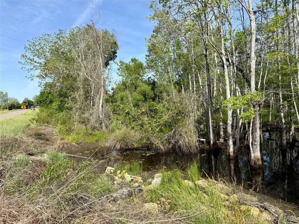 14 Red Oak Road Florala AL 36442
