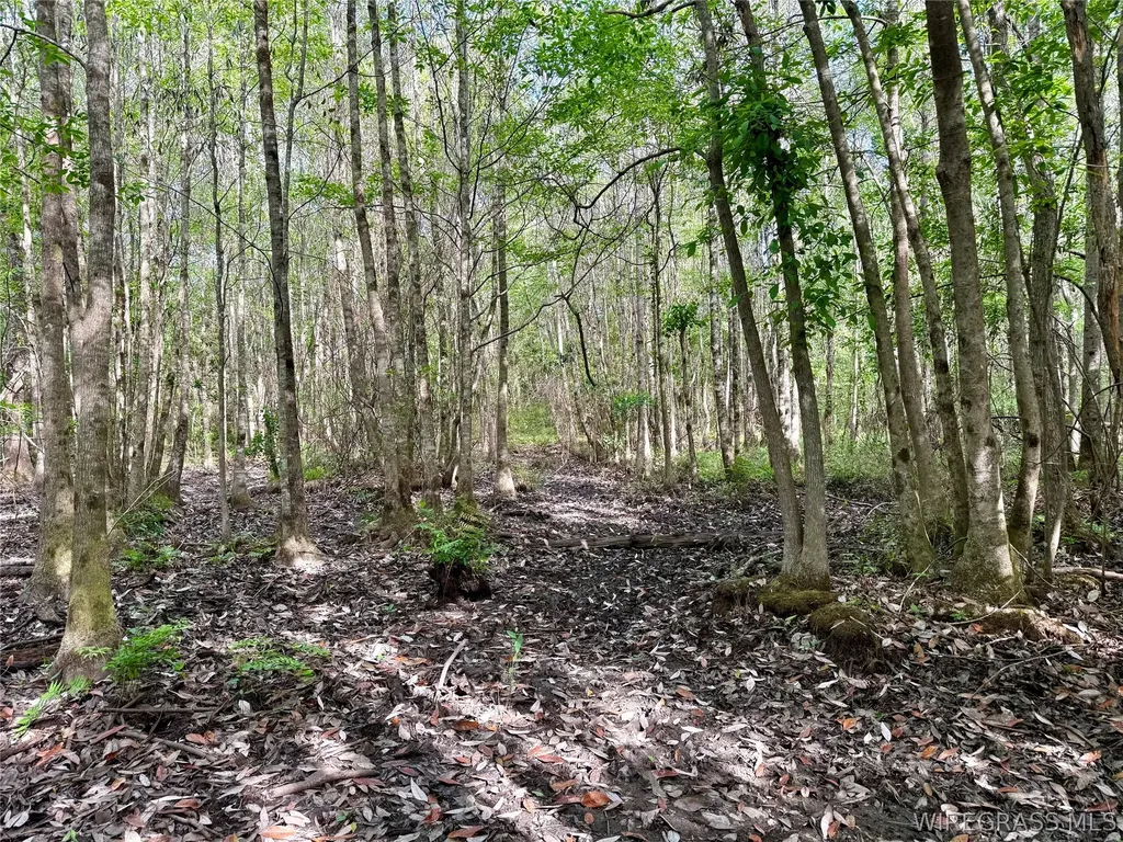 14 Red Oak Road Florala AL 36442