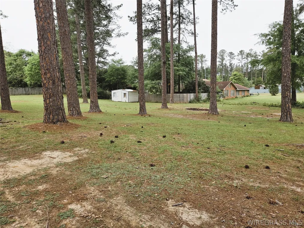 1468 Highland Drive Elba AL 36323