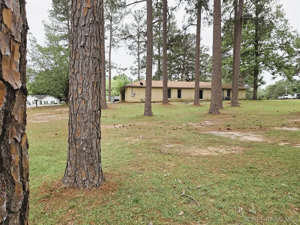 1468 Highland Drive Elba AL 36323