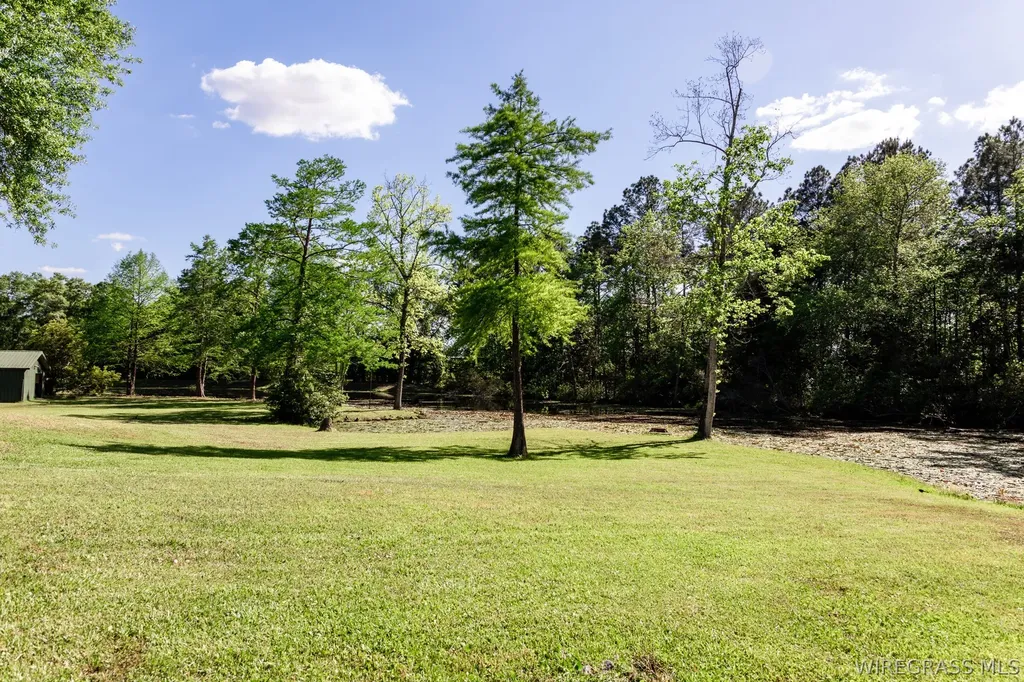 205 N Woodland Street Geneva AL 36340