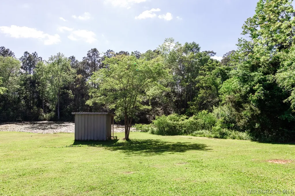 205 N Woodland Street Geneva AL 36340