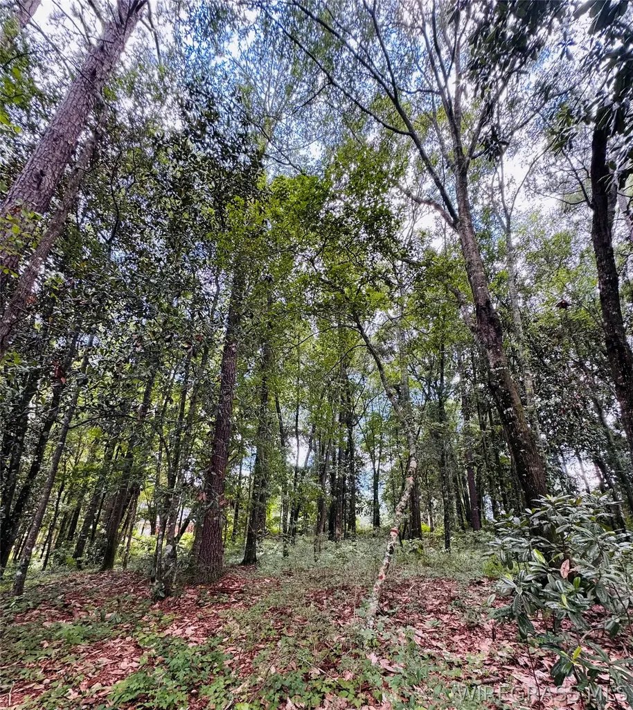 102 High Bluff Drive Enterprise AL 36330