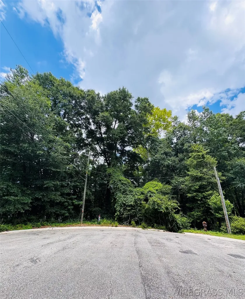102 High Bluff Drive Enterprise AL 36330