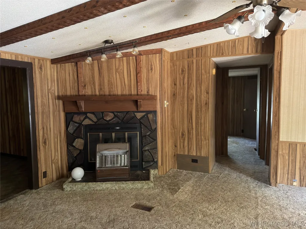 313 Fitzsimmons Street New Brockton AL 36351