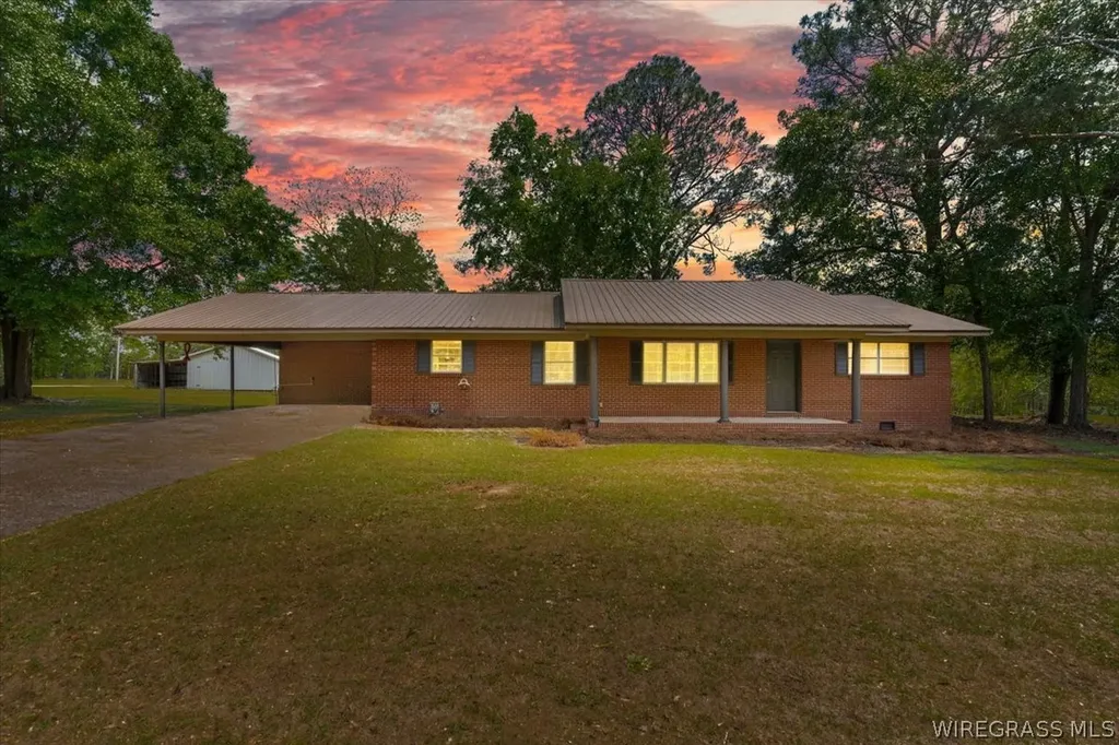 323 S Tyler Street New Brockton AL 36351