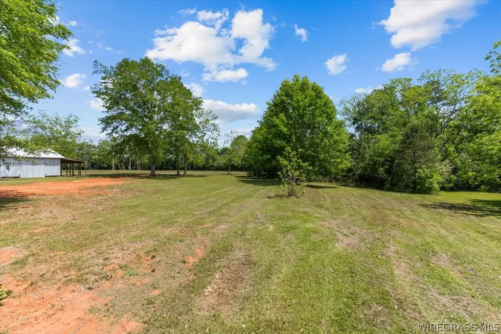 323 S Tyler Street New Brockton AL 36351