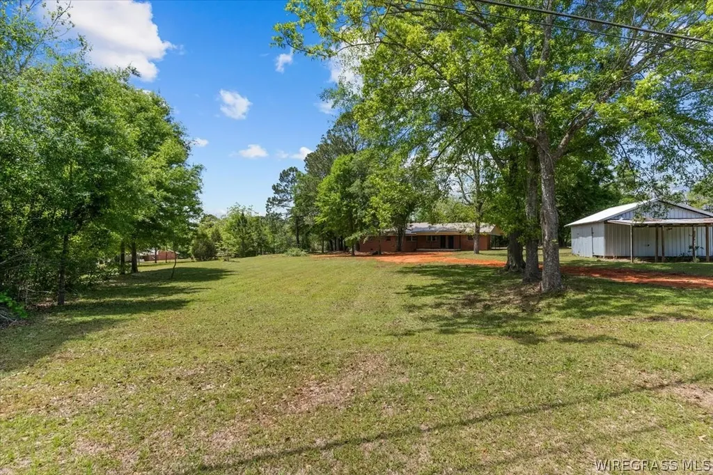 323 S Tyler Street New Brockton AL 36351