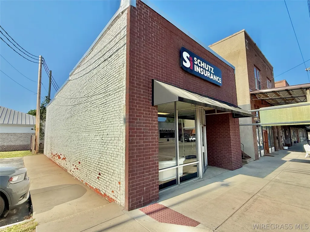 112 E Main Street Samson AL 36477