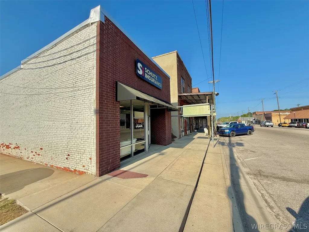 112 E Main Street Samson AL 36477