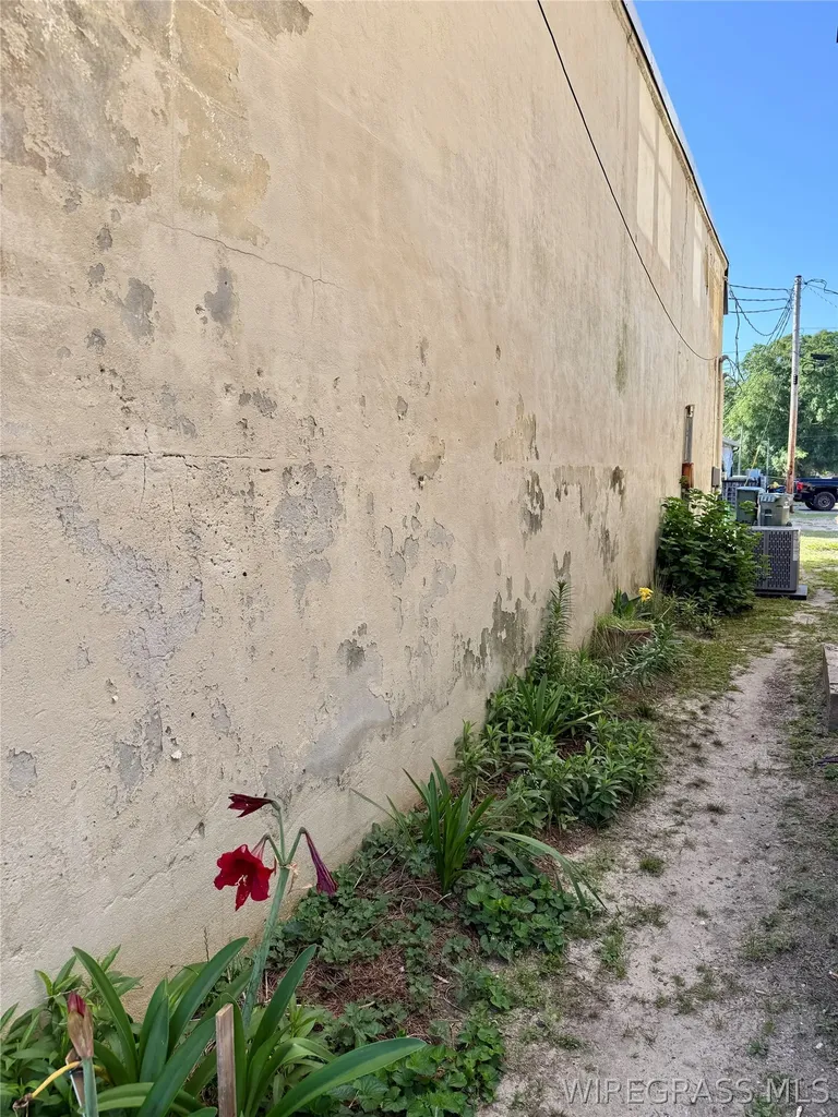 112 E Main Street Samson AL 36477