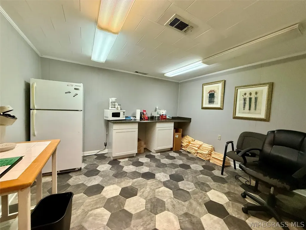 112 E Main Street Samson AL 36477