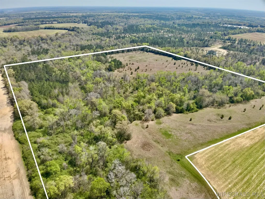 50 Dillard Road AL 36370