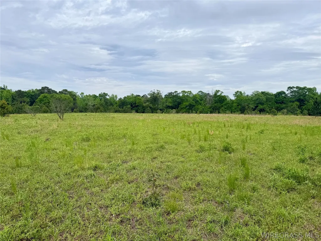 50 Dillard Road AL 36370