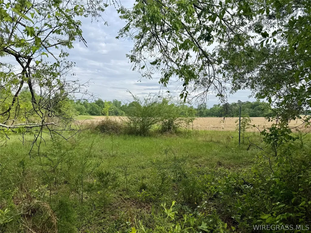 50 Dillard Road AL 36370